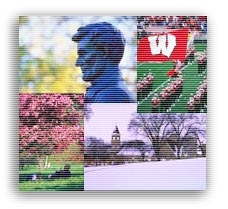 Images of UW-Madison (/images/art_main4.
jpg)