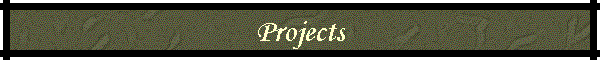 Projects