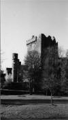 Blarney Castle b&W.jpg (18262 bytes)