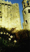 Close up of Blarney Castle.jpg (26268 bytes)