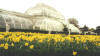 Kew Gardens - Tropical Greenhouse.jpg (35978 bytes)