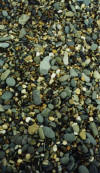 Rocks on the beach.jpg (36188 bytes)
