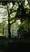 The flat as seen from the park.jpg (30742 bytes)