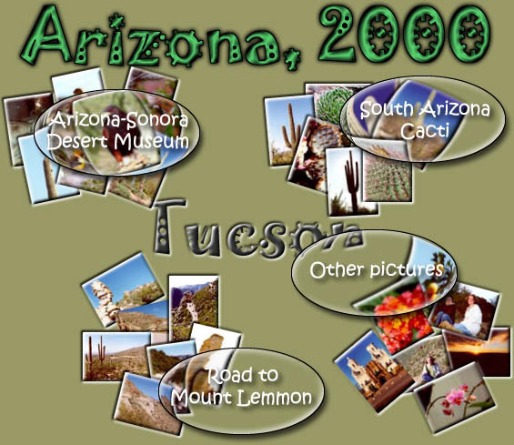 Arizona, 2000