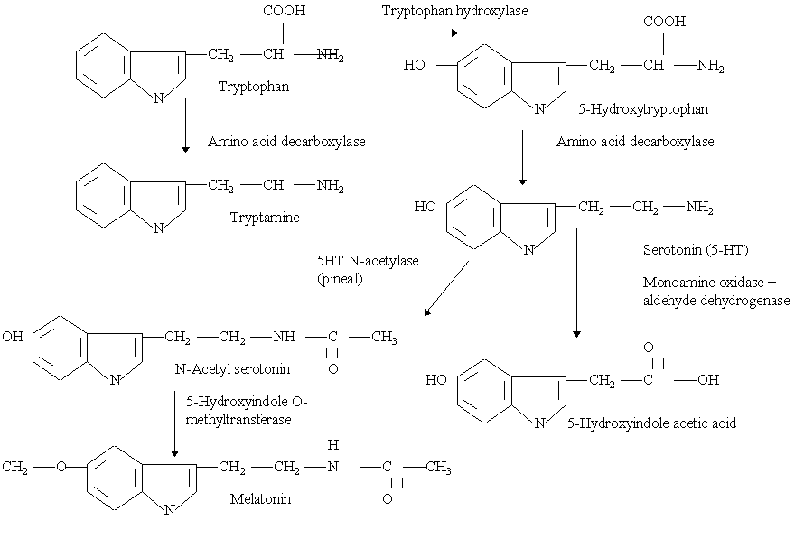 Synthesis Of Fluoxetine