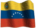VENEZUELAN FLAG