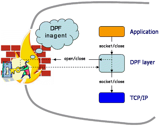 DPF topology