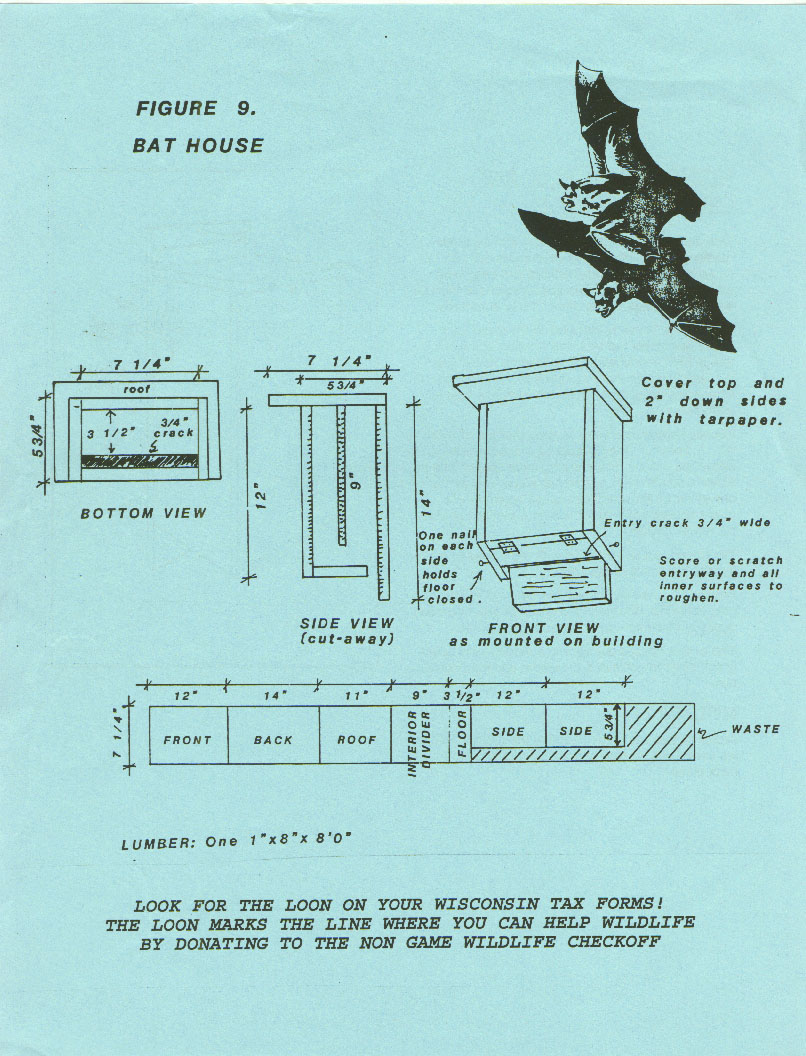 Simple Bat House Plans