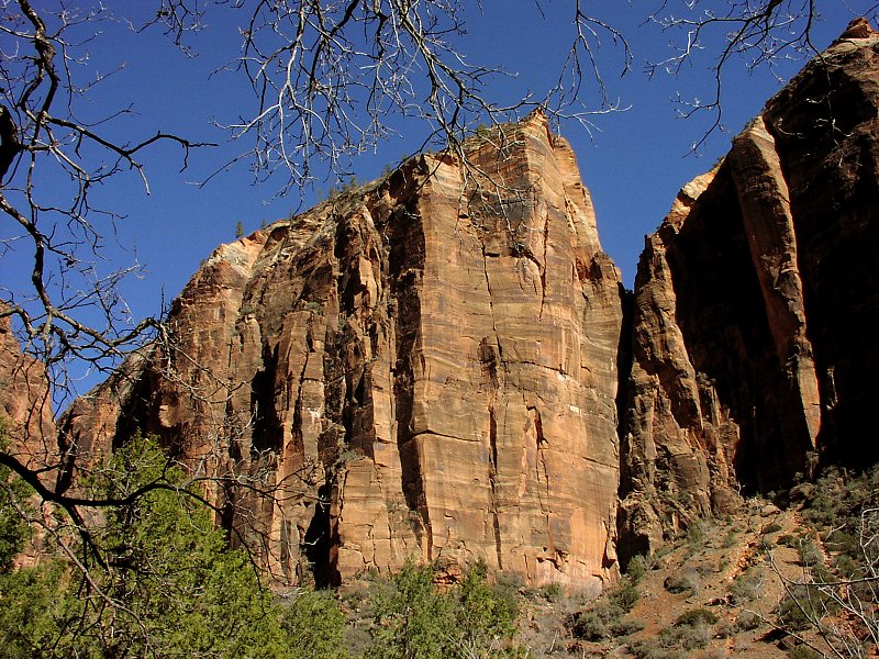 Looking up from the Emerald Pools trail