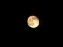 moon.jpg (7991 bytes)