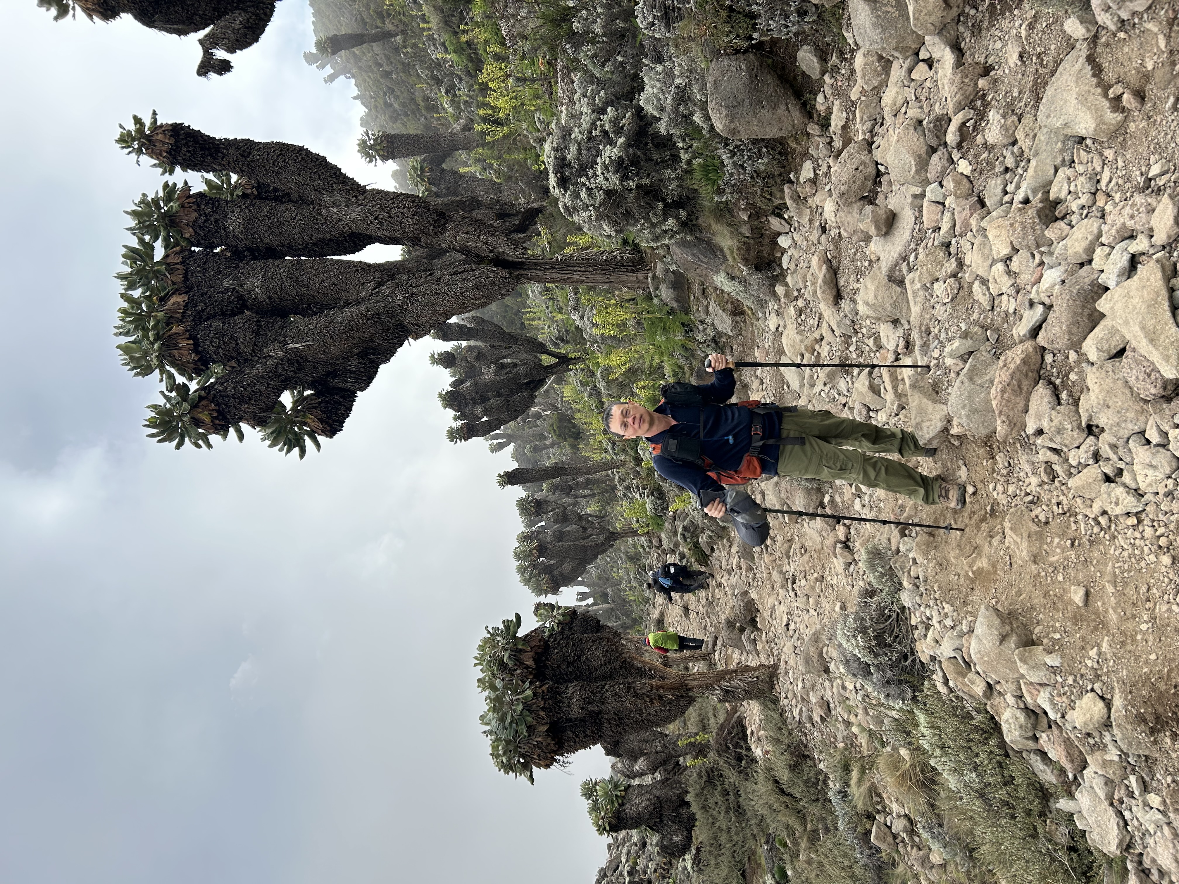 Approaching Barranco Camp on Kilimanjaro