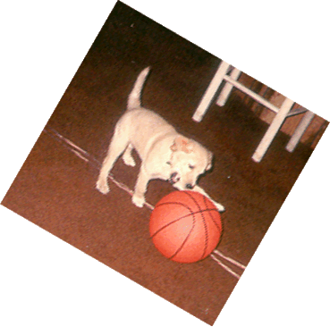 Watch out Bailey, that basketball is a little big for you.