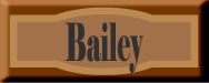 Pictures of my dog, Bailey