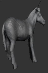 horse_model