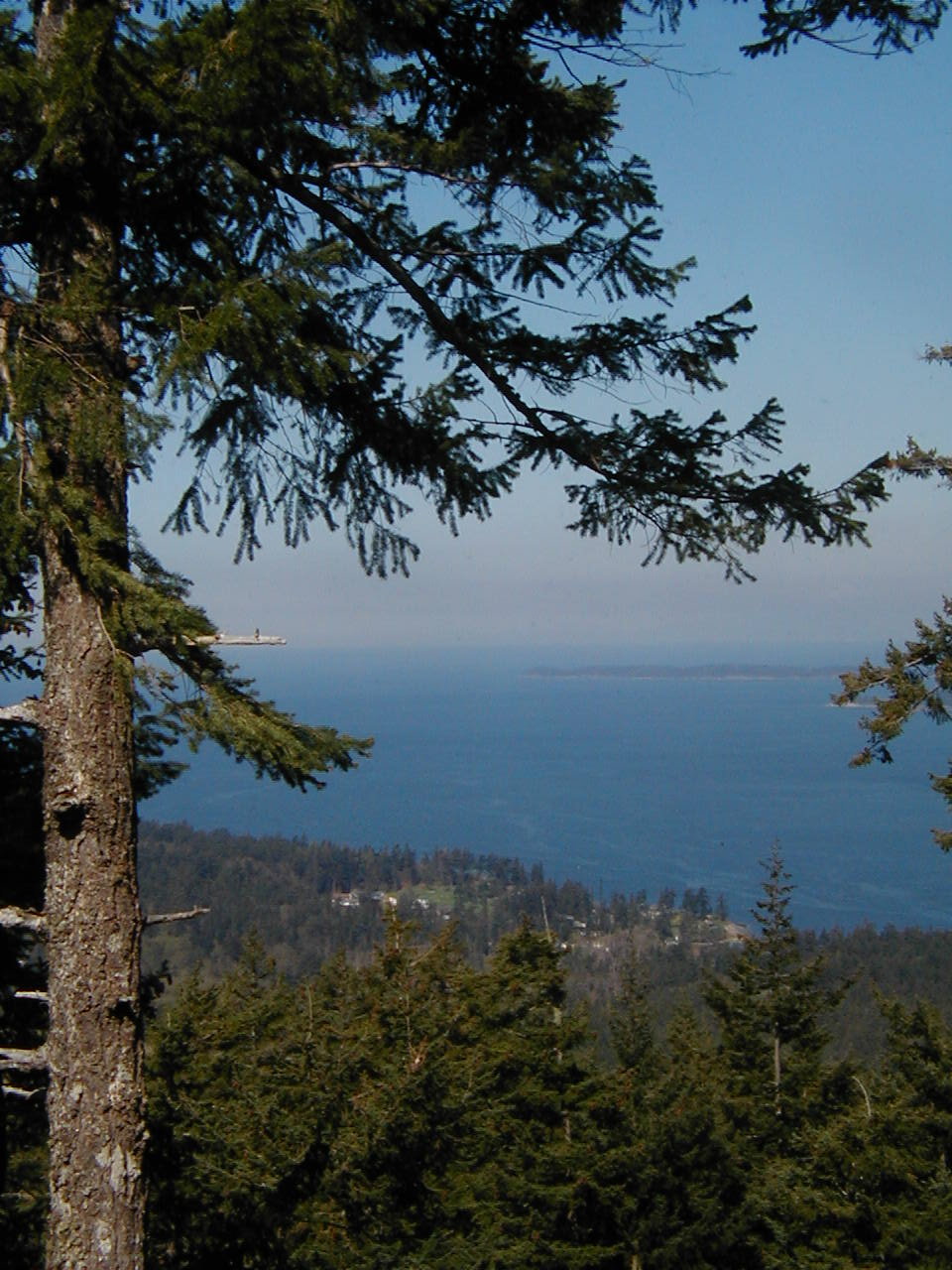 the view from the desk, looking northwest