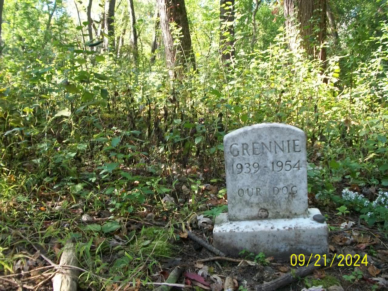 Greenies Grave