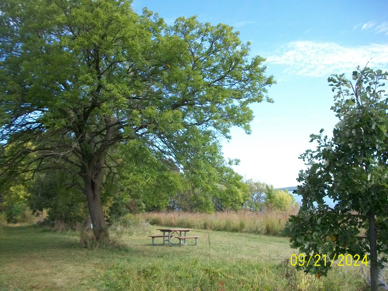 Picnic Point On Birthday