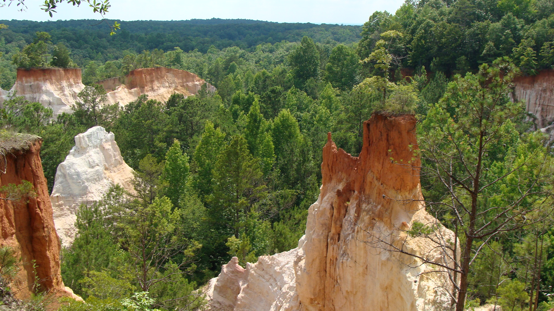 Georgia Canyon