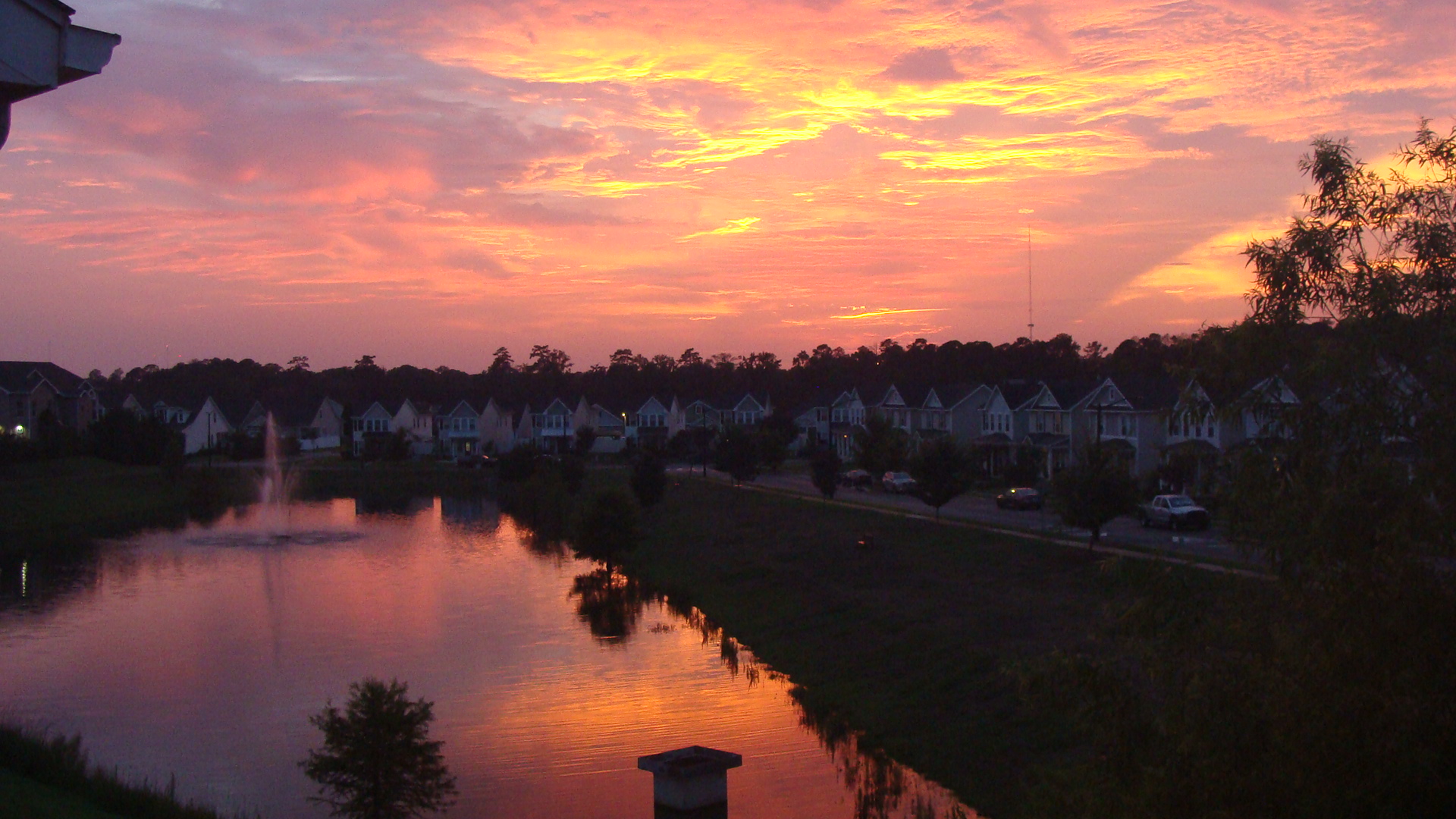 Tally Sunset