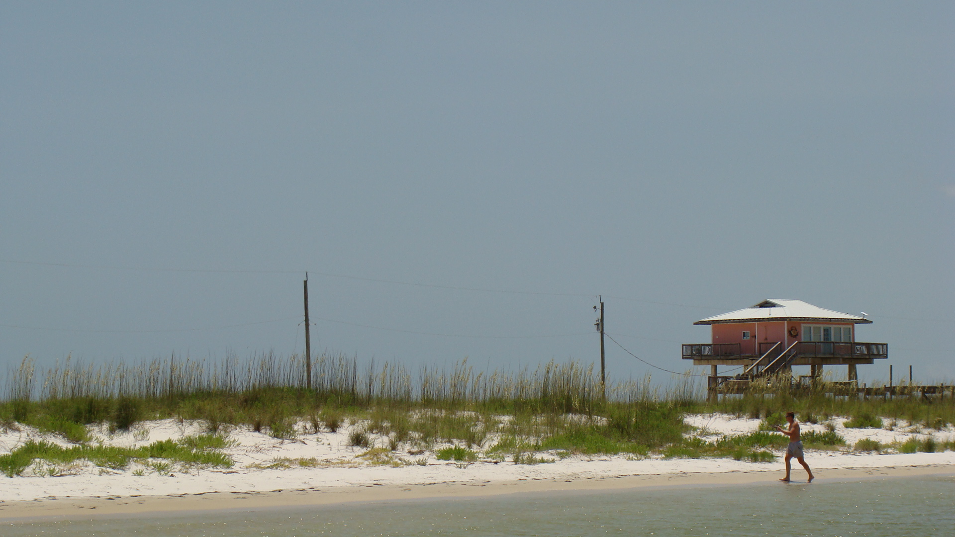 Dog Island
