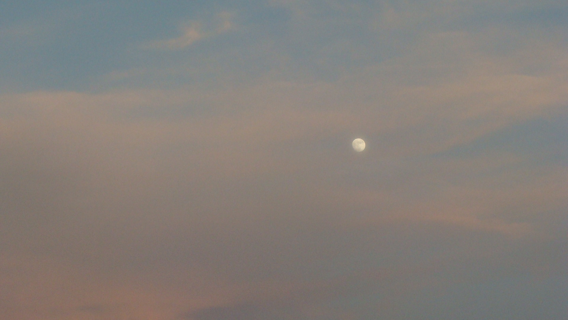 Moon