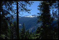 Sequoia National Park, California