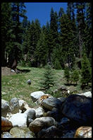 Sequoia National Park, California