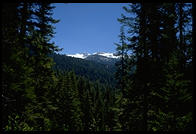 Sequoia National Park, California