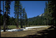 Sequoia National Park, California