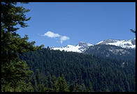 Sequoia National Park, California