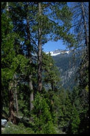 Sequoia National Park, California