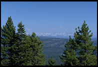 Sequoia National Park, California