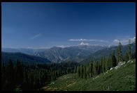 Sequoia National Park, California