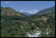 Sequoia National Park