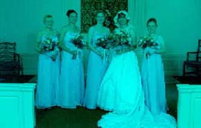 Bridesmaids Inside