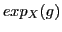 $\displaystyle exp_X(g)$