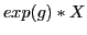 $\displaystyle exp(g) * X$