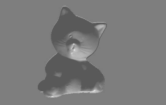 ReconstructedSurface cat 1.png