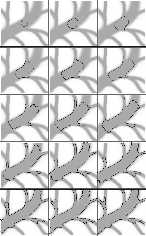 \begin{figure}\centerline{\psfig{figure=veins/000.eps,width=0.3\textwidth}\psfig...
...th=0.3\textwidth}\psfig{figure=veins/280.eps,width=0.3\textwidth}}\end{figure}