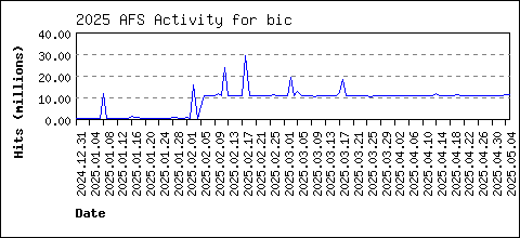 bic load data