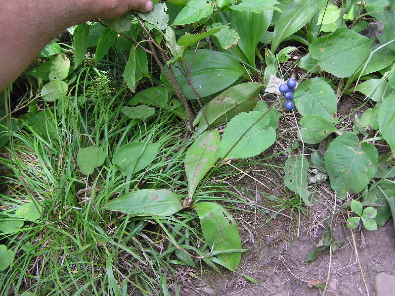 P1010163
