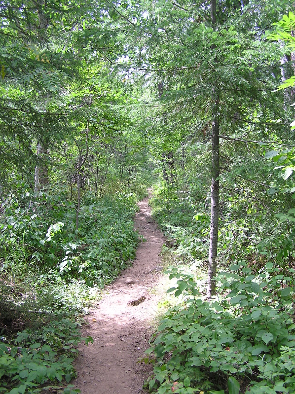 P1010165