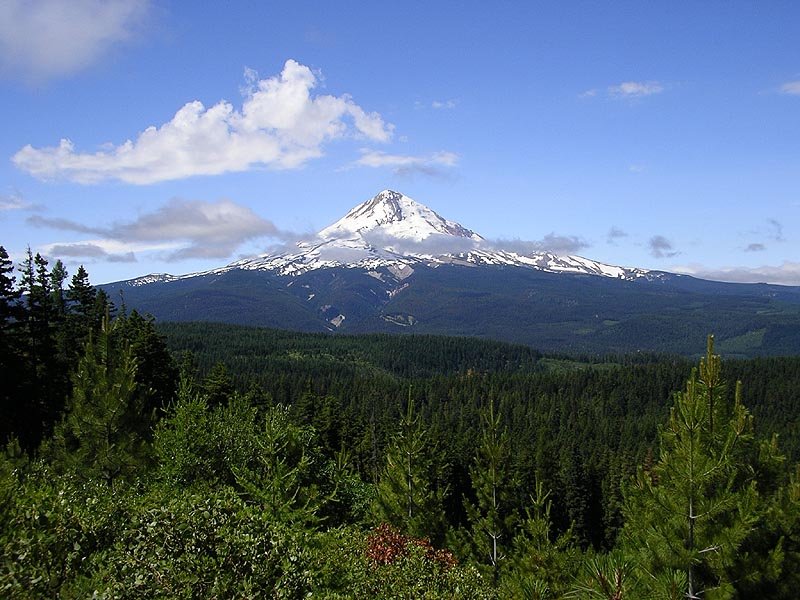 mthood3.jpg